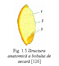Text Box:  
Fig. 1.5 Structura anatomica a bobului de secara [126]

